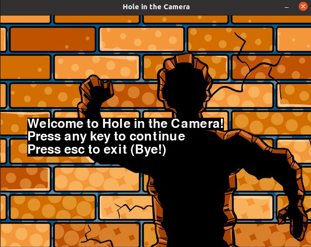 Hole in the Camera